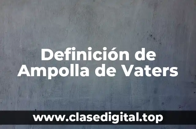 Definición de Ampolla de Vaters