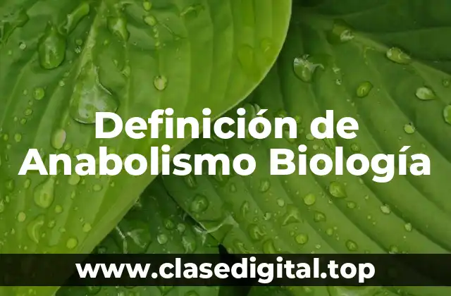 Definición de Anabolismo Biología