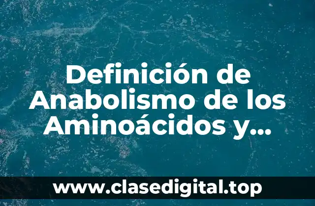 Definición de Anabolismo de los Aminoácidos y Proteínas Animal