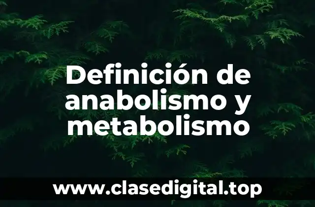 Ejemplos de anabolismo y metabolismo