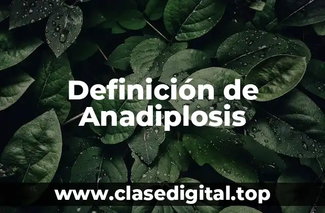 Definición de Anadiplosis