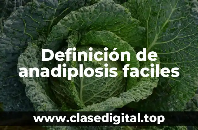Definición de anadiplosis faciles