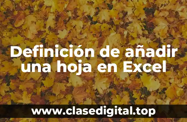Definición de añadir una hoja en Excel