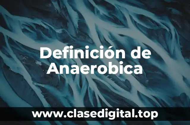 Definición de Anaerobica