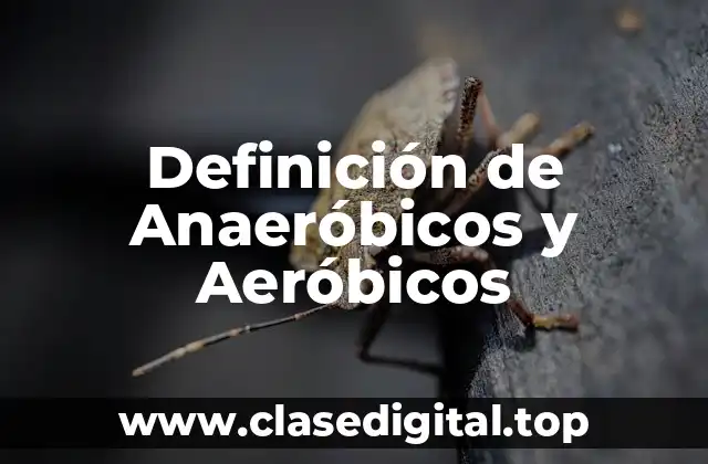 Definición de Anaeróbicos y Aeróbicos