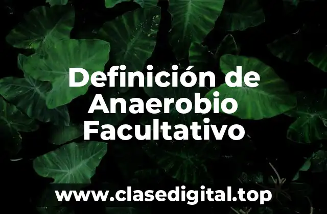 Definición de Anaerobio Facultativo