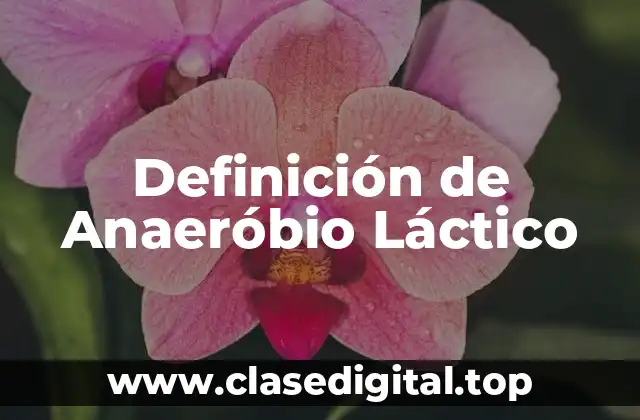 Definición de Anaeróbio Láctico