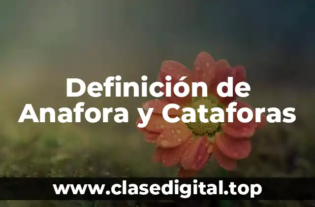 Definición de Anafora y Cataforas