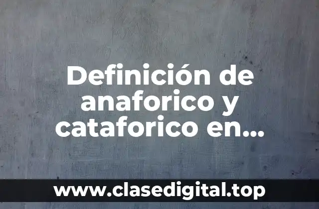 Definición técnica de anaforico