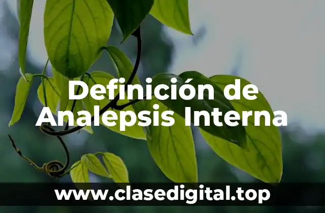 Ejemplos de Analepsis Interna