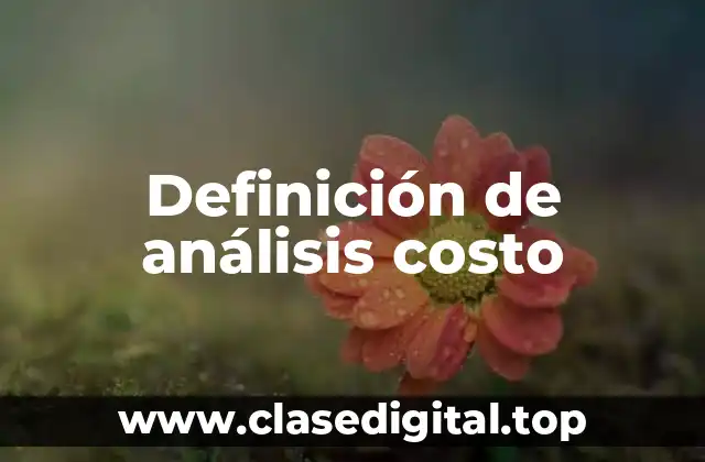 Definición de análisis costo