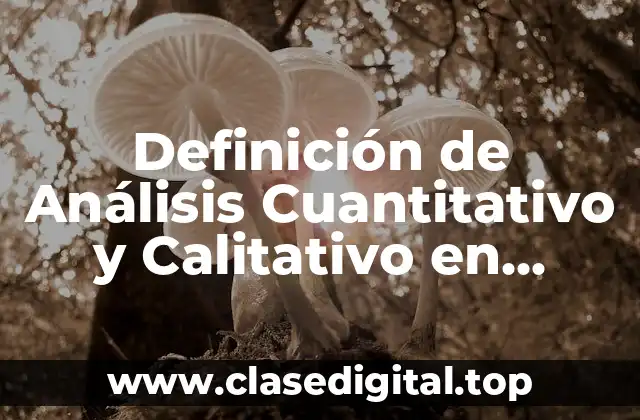 Definición de Análisis Cuantitativo y Calitativo en Desarrollo Comunitario