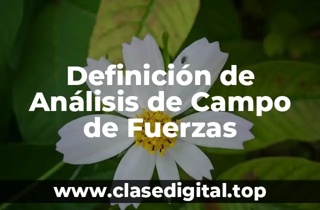Definición de Análisis de Campo de Fuerzas