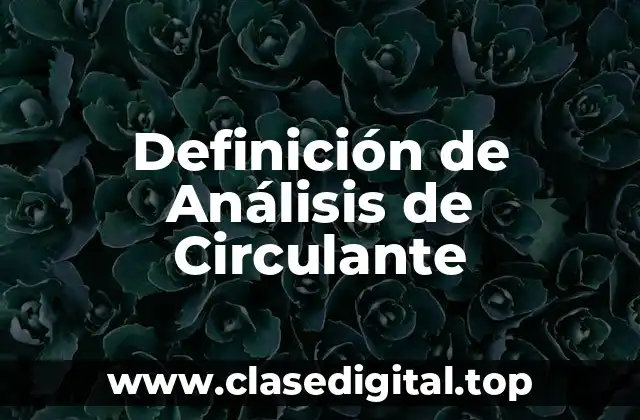 Definición de Análisis de Circulante