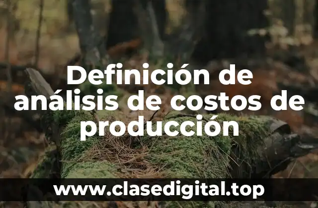 Ejemplos de análisis de costos de producción