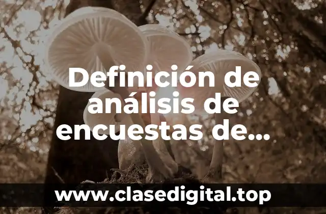 Definición de análisis de encuestas de satisfacción