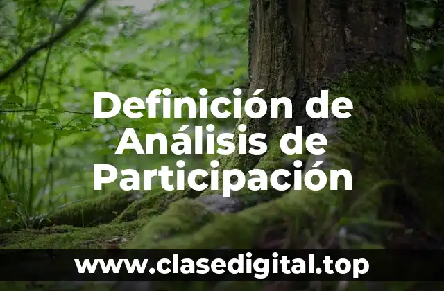 Definición Técnica de Análisis de Participación
