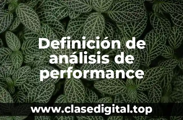 Definición de análisis de performance