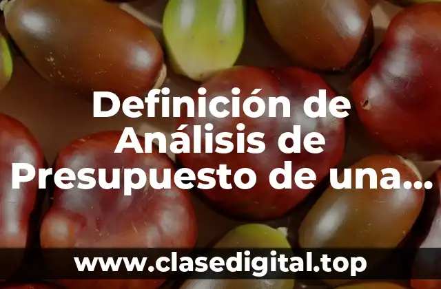 Ejemplos de Análisis de Presupuesto de una Empresa