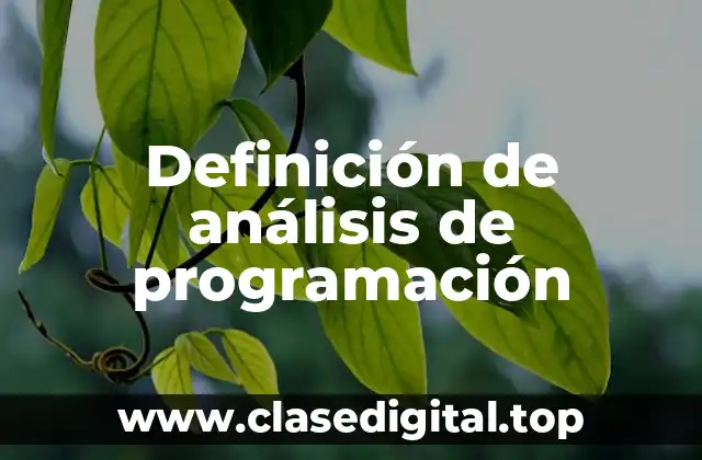 Definición de análisis de programación