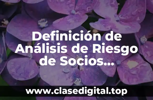 Definición de Análisis de Riesgo de Socios Comerciales