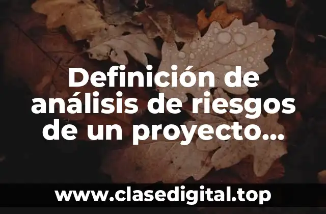 Definición de análisis de riesgos de un proyecto lenguaje tecnico