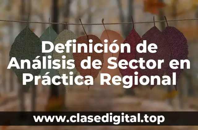 Definición de Análisis de Sector en Práctica Regional
