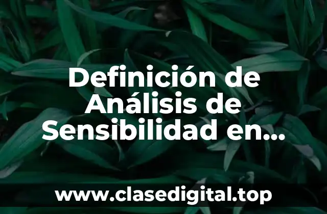 Definición de Análisis de Sensibilidad en Finanzas