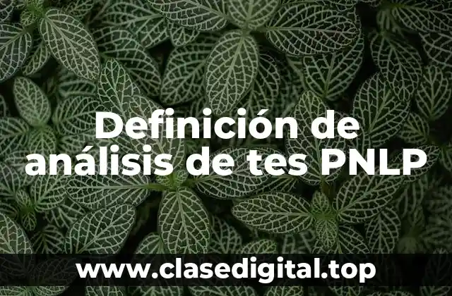Ejemplos de análisis de tes PNLP