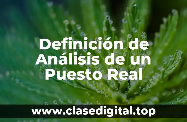 Definición de Análisis de un Puesto Real
