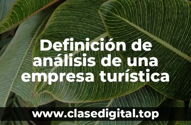 Definición de análisis de una empresa turística