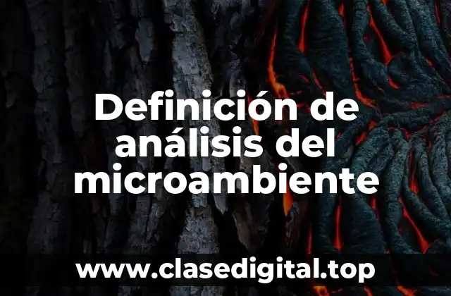 Ejemplos de análisis del microambiente