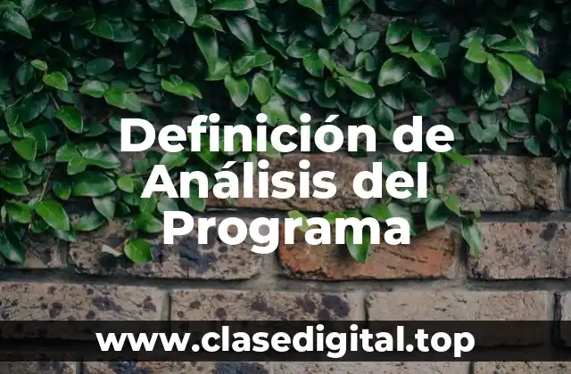 Definición de Análisis del Programa