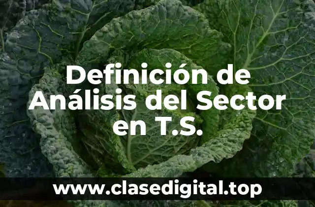 Definición de Análisis del Sector en T.S.