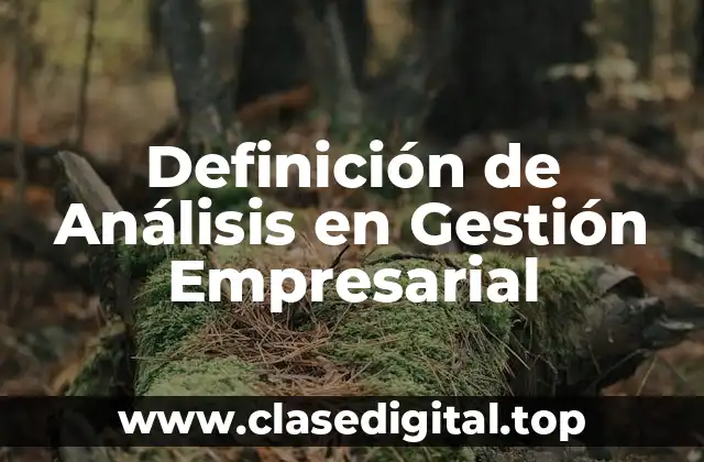 Definición de Análisis en Gestión Empresarial