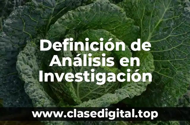 Definición de Análisis en Investigación