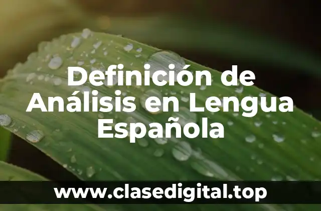Definición de Análisis en Lengua Española