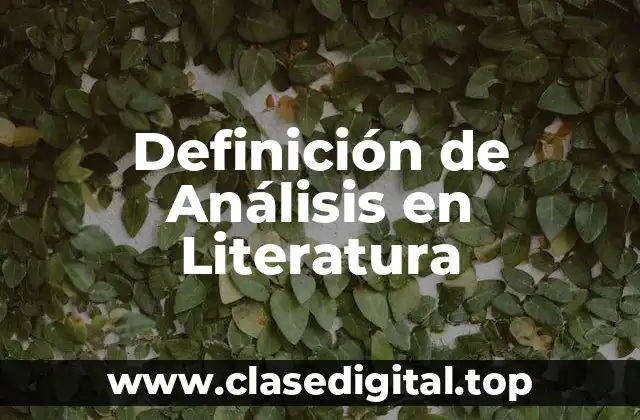 Definición de Análisis en Literatura