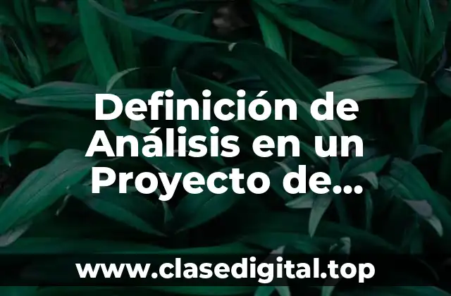 Definición de Análisis en un Proyecto de Software