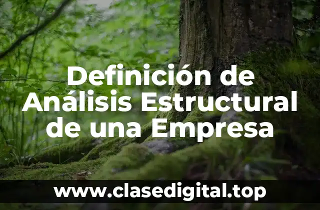 Ejemplos de Análisis Estructural de una Empresa