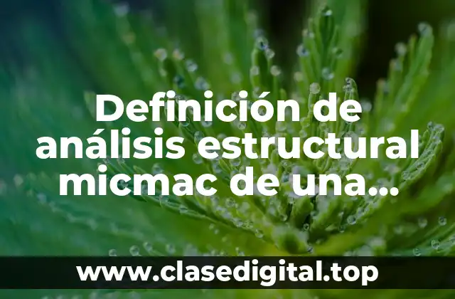 Definición de análisis estructural micmac de una empresa