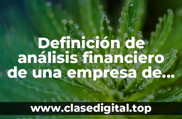 Definición de análisis financiero de una empresa de transporte