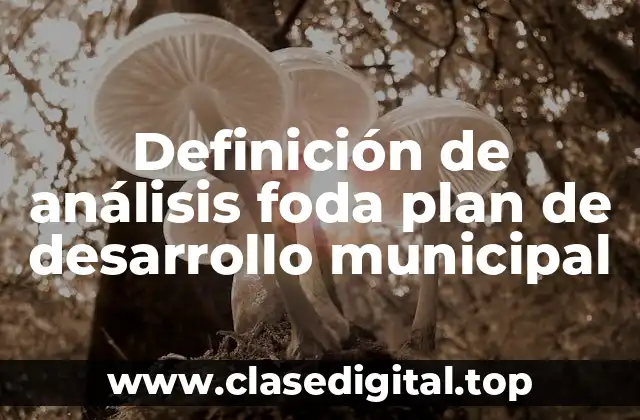Definición de análisis foda plan de desarrollo municipal