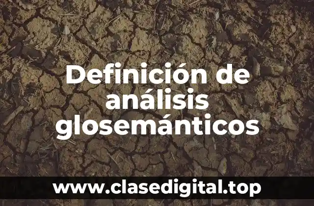 Definición de análisis glosemánticos