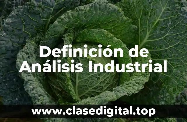 Definición de Análisis Industrial