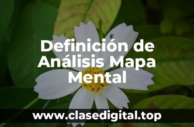 Definición de Análisis Mapa Mental