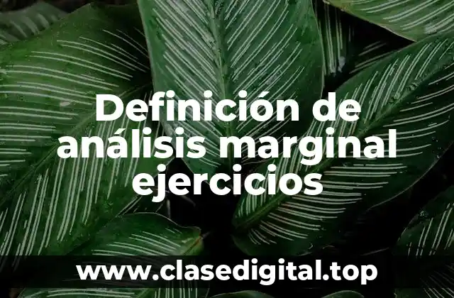 Definición de análisis marginal ejercicios
