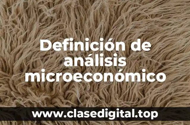 Definición técnica de análisis microeconómico