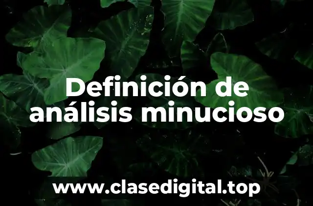 Definición de análisis minucioso