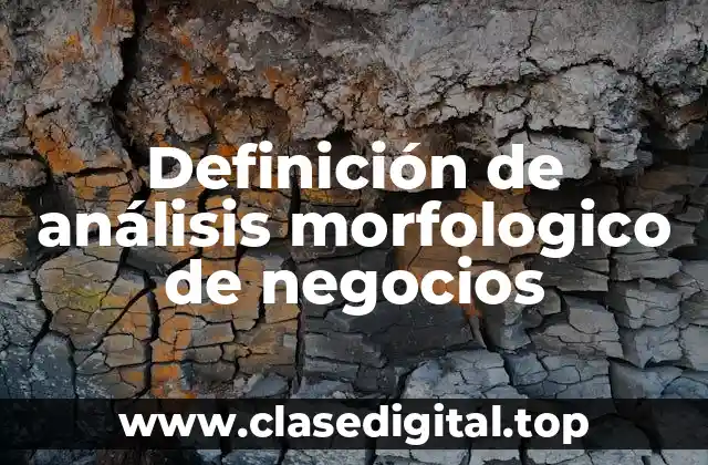 Definición de análisis morfologico de negocios